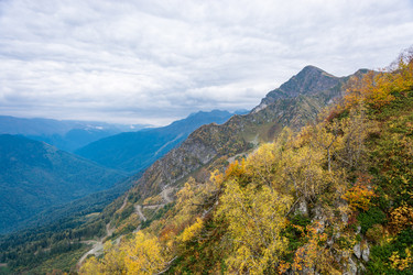 Similar image 11500404