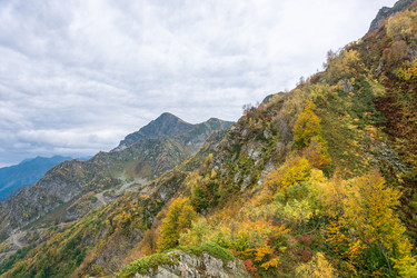 Similar image 11500406