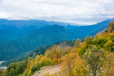 Similar image 11500153