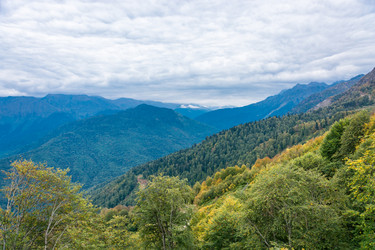 Similar image 11500154