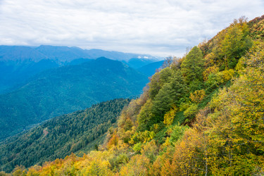 Similar image 11500407