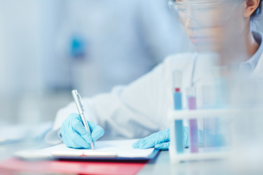 Similar image 11500305