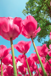 Similar image 11501030