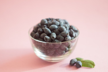 Similar image 11500149