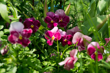 Similar image 11500150