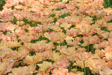 Similar image 11501059