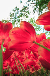 Similar image 11501063