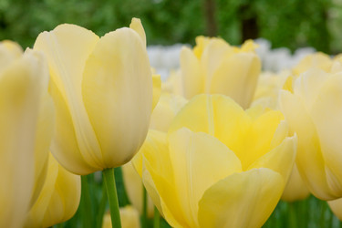 Similar image 11501065