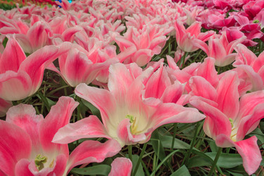 Similar image 11500978