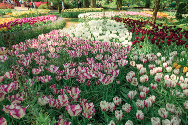 Similar image 11501017