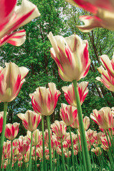 Similar image 11501019