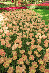 Similar image 11500968