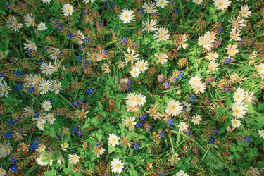 Similar image 11501020