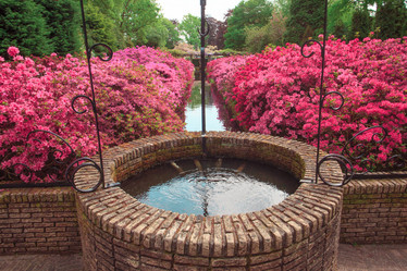 Similar image 11501022