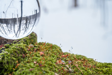 Similar image 11500362