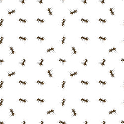 Similar image 11502777