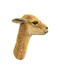 Similar image 11501814