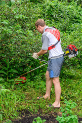 Similar image 11501877