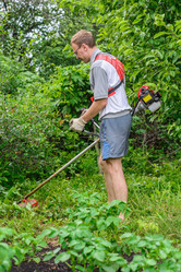 Similar image 11501878