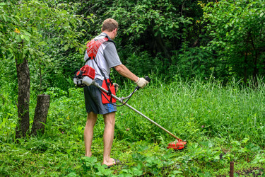 Similar image 11501879