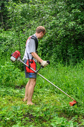 Similar image 11501880