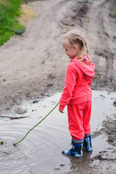 Similar image 11501882