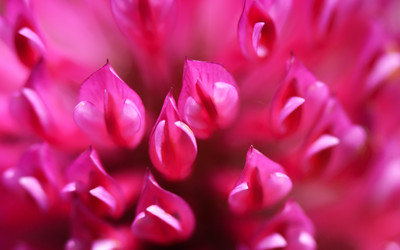 Similar image 11501885