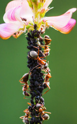 Similar image 11501886