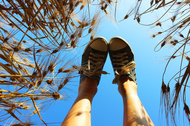 Similar image 11501425