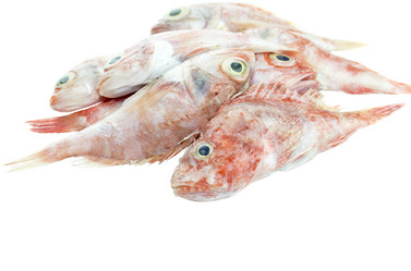 Similar image 11502752