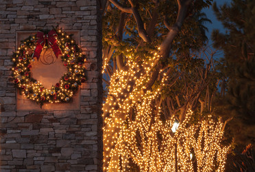 Similar image 11501994