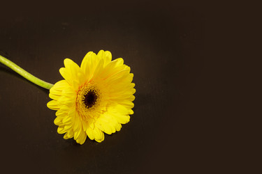 Similar image 11501998