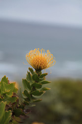 Similar image 11502001