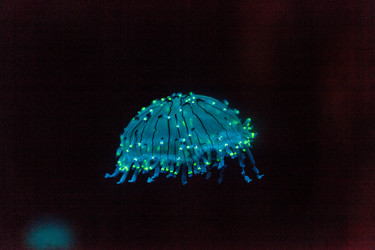 Similar image 11502013