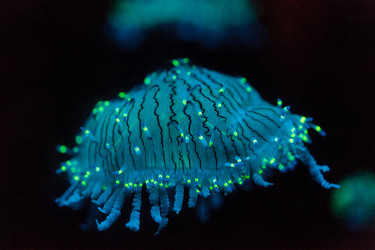 Similar image 11502014