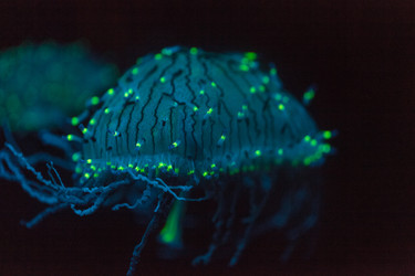 Similar image 11502015