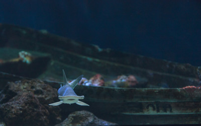 Similar image 11502017