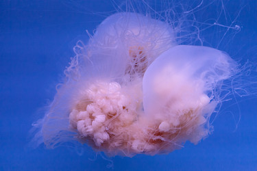 Similar image 11502022