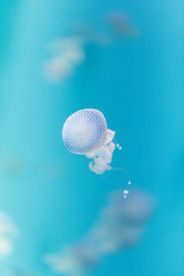 Similar image 11502024