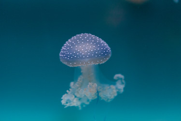 Similar image 11502027