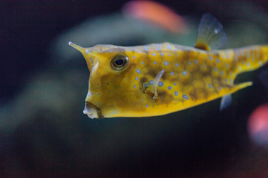 Similar image 11502028