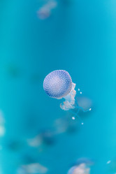 Similar image 11502030