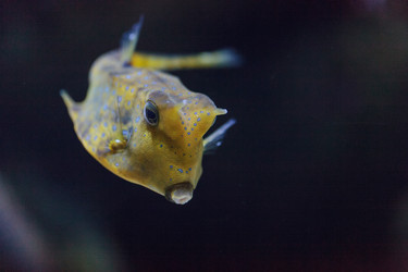 Similar image 11502031