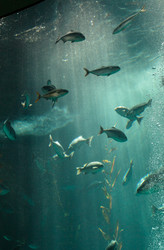 Similar image 11502032