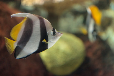 Similar image 11502035