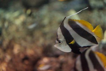 Similar image 11502037