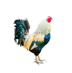 Similar image 11500990