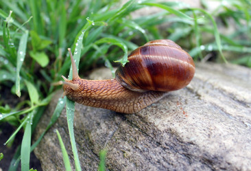 Similar image 11501817