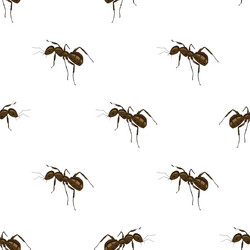 Similar image 11502782