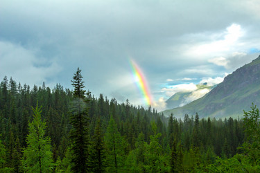 Similar image 11501822